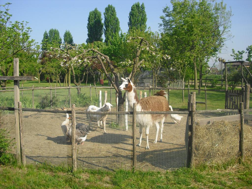 Agriturismo La Penisola Affittacamere Campo San Martino Esterno foto